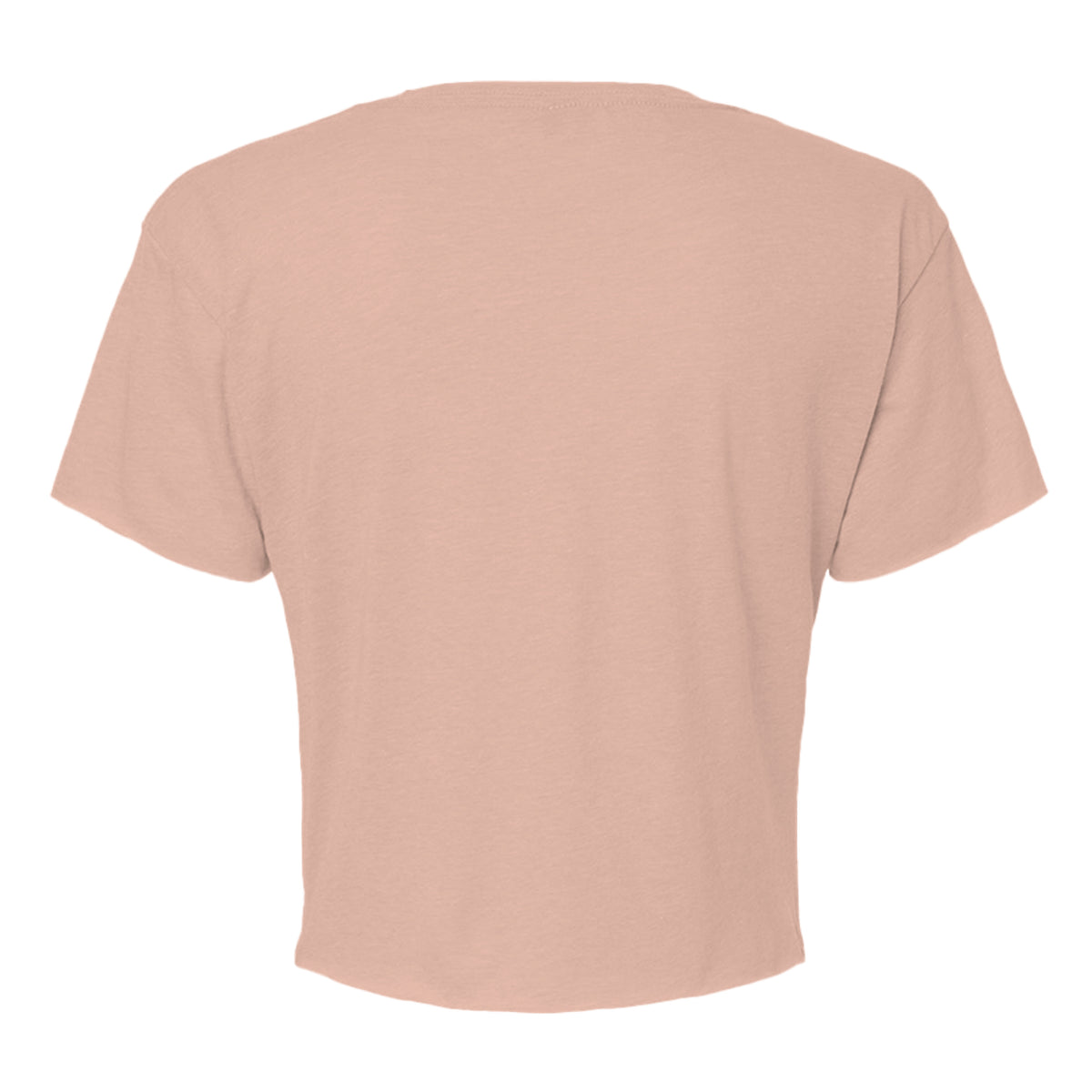 Tezi Boxy Crop Tee in Desert Pink, back view