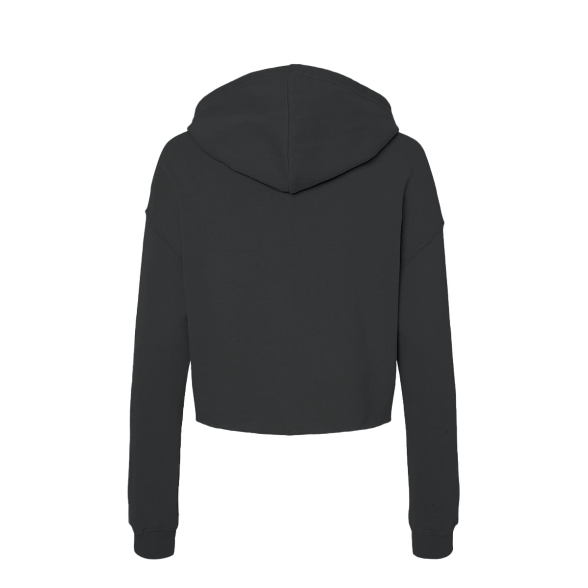Tezi Circle Logo Cropped Hoodie in Black, back view