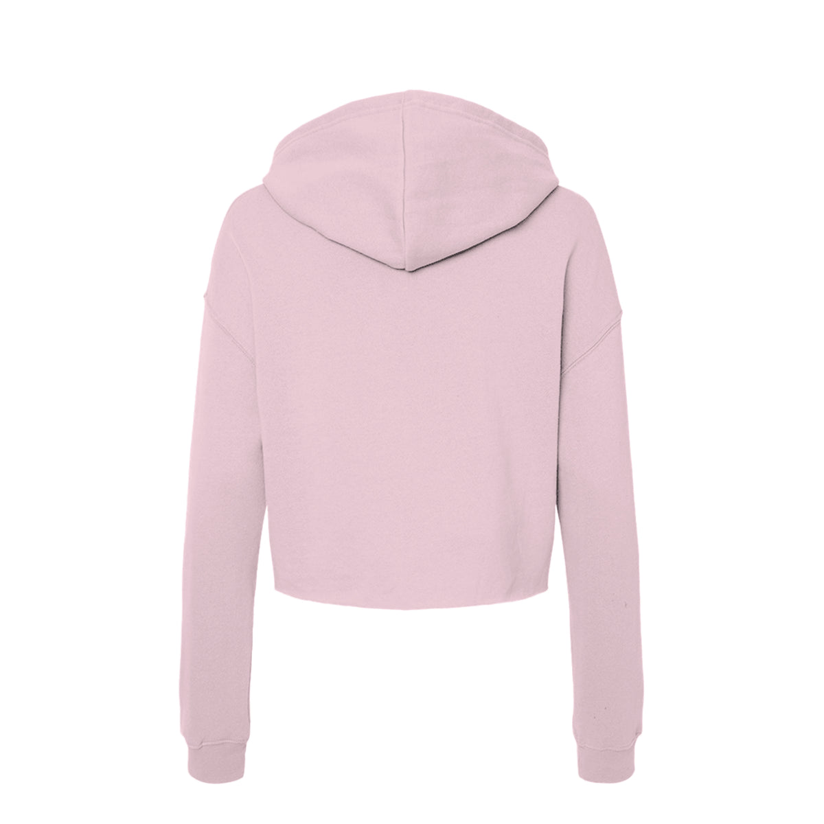 Tezi Circle Logo Cropped Hoodie in Blush, back view