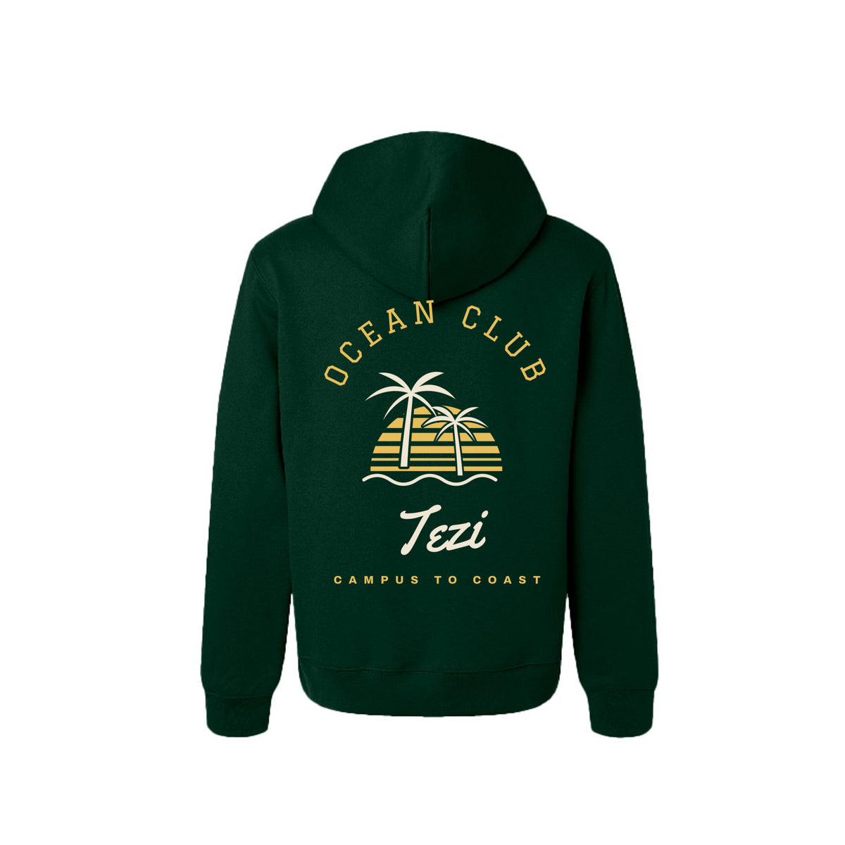 Tezi Ocean Club Hoodie in Forest, alternate view