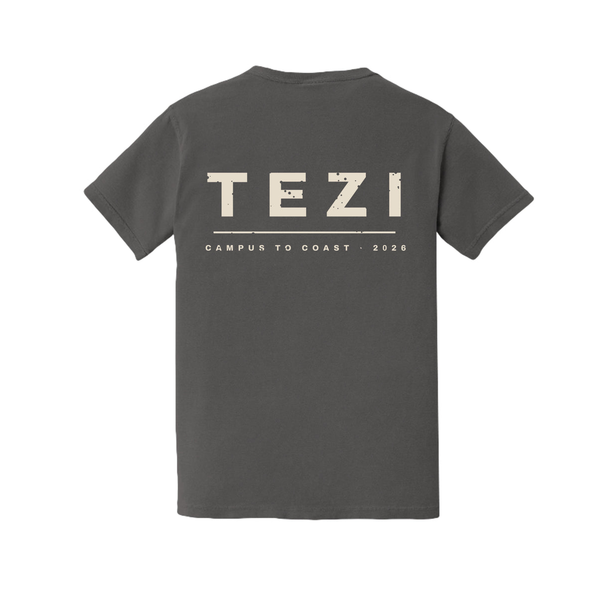Tezi Pocket Tee in Pepper, alternate view