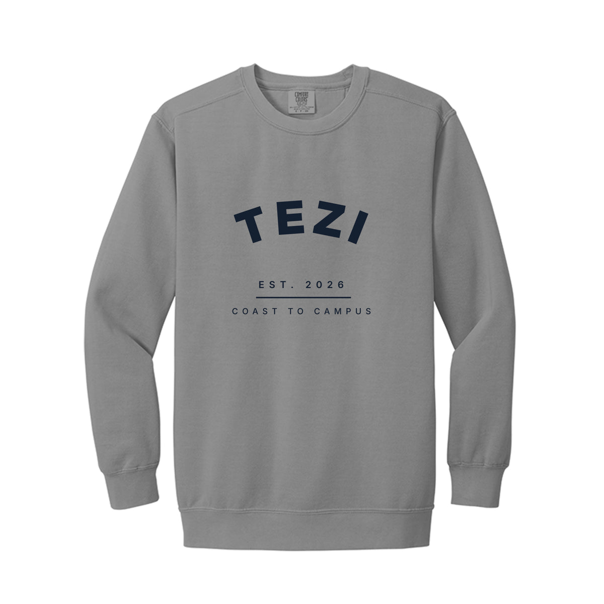 Tezi Collegiate Arch Crewneck in Grey