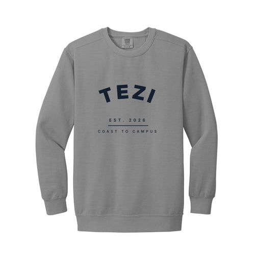 Tezi Collegiate Arch Crewneck in Grey